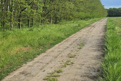 Teren intravilan - 4752 mp - 8 loturi de 594 mp - com Gruiu-Lipia - km 31 A3 - 6