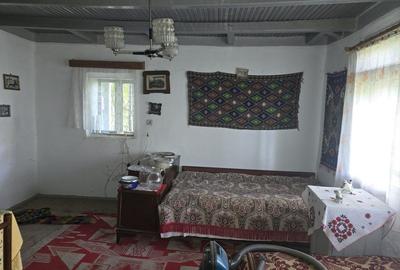 Casa batraneasca ,gradina cu vie si livada, fara agentie - 8