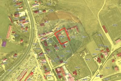 Teren Dumbraveni 2028 mp - 3