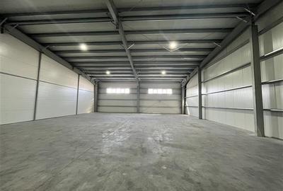Inchiriere depozit/hala/spatiu industrial Pantelimon - Centura - 8