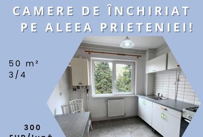 Apartament cu 2 camere de închiriat în Sfântu Gheorghe, pe Aleea Prieteniei! - 1