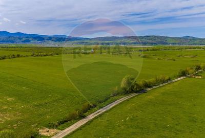 Teren 3000mp de vânzare în Râșnov / Pănicel - 9