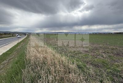 Teren extravilan | Horodnic de Sus – zona Osoi | 50 de Ari - 3