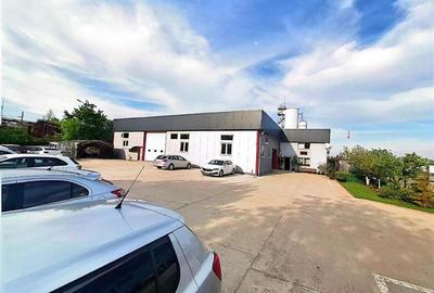 Vanzare depozit/hala/spatiu industrial SERVICE AUTO cu teren 5.980mp Domnesti - - 9