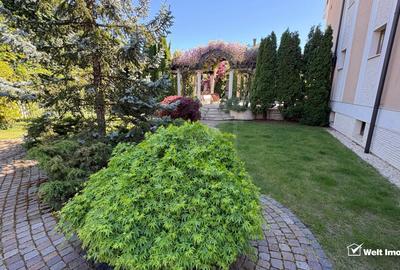Vila superba in Andrei Muresanu, dotari de lux, piscina si SPA, 865 mp teren ! - 38