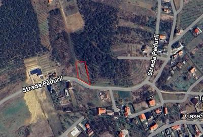 Teren intravilan de 938 mp, în Dealuri Oradea