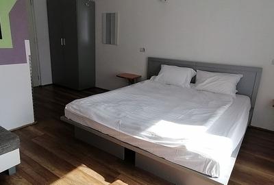 Pension Ana Vistisoara perfectly functional - 7
