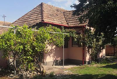 Potențial imobiliar! casa curte, front 15 m, teren 11000 mp - 10