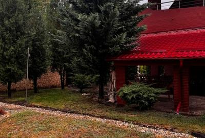 Baneasa, Sisesti, vanzare vila S+P+1E+M, renovata in 2014, 1576 mp teren, - 18