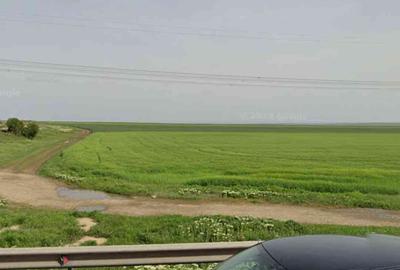 Loc Mihai Viteazu teren 8.8 ha aproape de DN și calea ferata Cta- Tulcea - 5