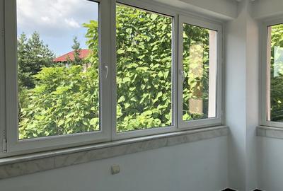 Vila 8 cam. bd. Timisoara stradal-oportunitate comerciala si rezidentiala unica - 12