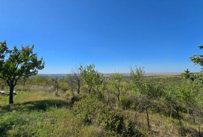 Teren 8.472 mp – Ghioroc Valea Domneasca - 2