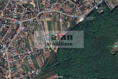 Snagov Crizantemelor Teren 3200mp, d 72ml, gaz, curent, asfalt, padure - 12