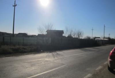 Teghes-Padurarului - 1