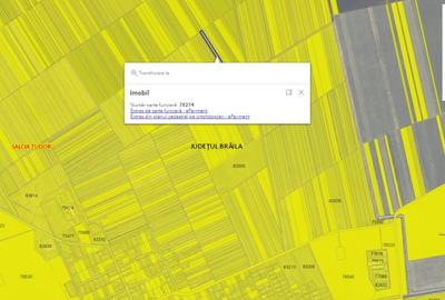 Teren agricol extravilan de 20890 mp, în Salcia Tudor - 5