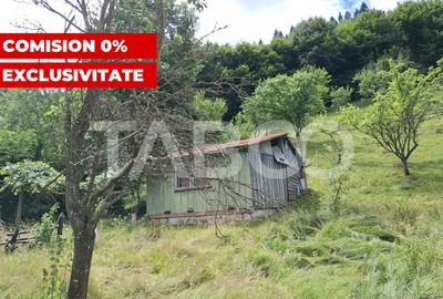 Teren 2500 mp Curmatura Rasinari 40 m deschidere la drum asfaltat - 1