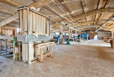 Complex imobiliar format din cladiri si constructii industriale+teren intravilan - 16