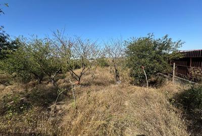 Cabana din lemn+ teren 2000 mp , 105.000 Euro negociabil, zona Metro - 7