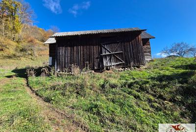 Casa de vanzare in Trampoiele (Zlatna) - 8