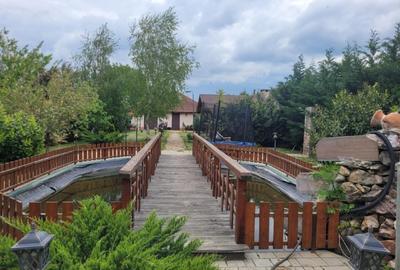 Oază de liniște cu "parc" privat în vatra satului - 14