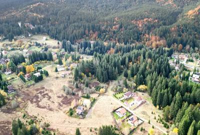 Poiana lui Manole - teren Intravilan - 20