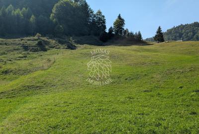 Oportunitate!Teren intravilan 61.38400mp-Parcelabil-utilitati-Colibita - 2