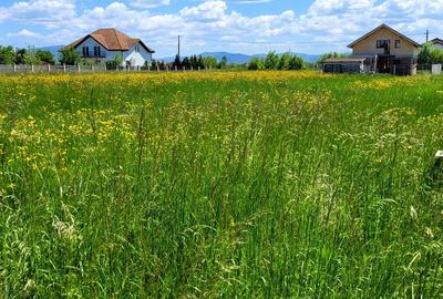 Teren Intravilan de vanzare - 1