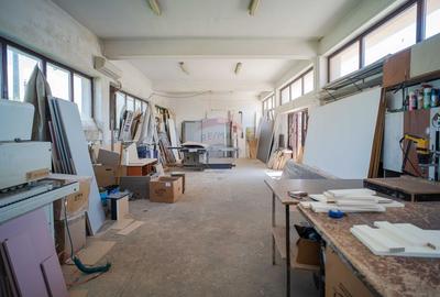Hală industrială modernă de vânzare – Tomesti, Iași - 0% Comision - 20