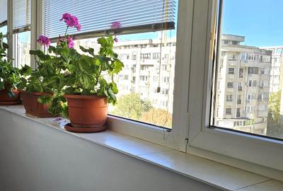 Vanzare 4 camere Bd. Decebal - 11