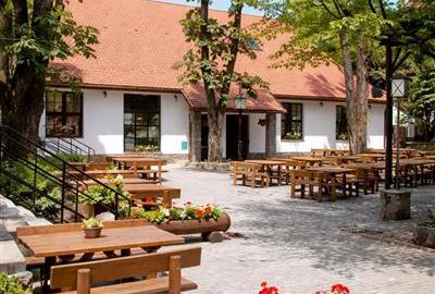Complex Gastronomic:Afacere la cheie, Restaurant traditional secuiesc+terasa eve - 19