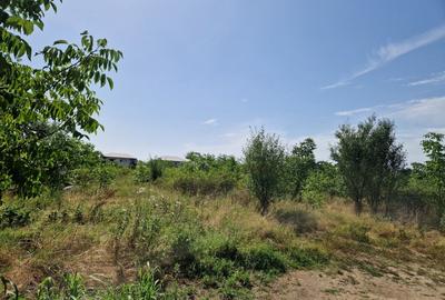Domnesti - Ciutaci, vanzare 4 loturi de teren intravilan - 11
