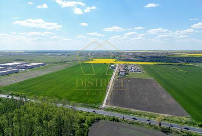 COM 0% Teren industrial pentru hale, servicii | DN69 Sanandrei - 3