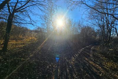 Teren intravilan 2.000 mp – Seciu, 2 deschideri, Priveliște panoramica - 12