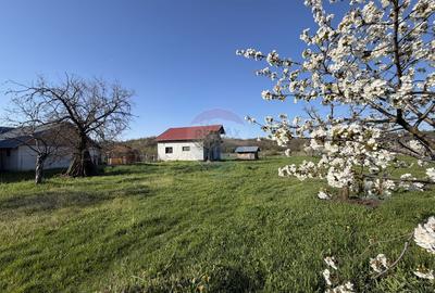 Casă cu 3 camere în Albota