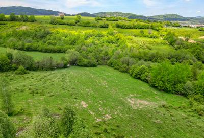Teren intravilan 500 mp sau 1000 mp în Bran –Tohanita incepand cu 17500 euro - 6