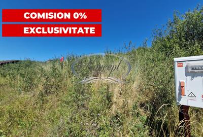 Teren cu proiect de casa in Chinteni - 5