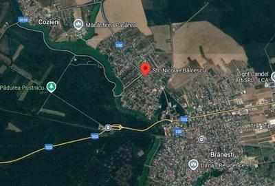 Teren Branesti Pasarea central constructie utilitati