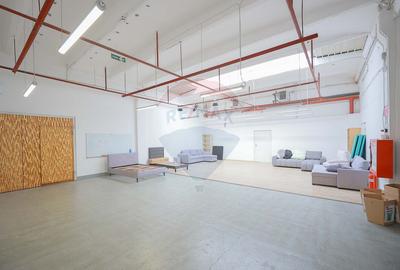 De vânzare spațiu industrial PGS Sofa, calea Borșului - 37