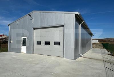 Hala 194 mp utili, platforma betonata 400 mp si teren total de 1.500 mp, Racari - 1