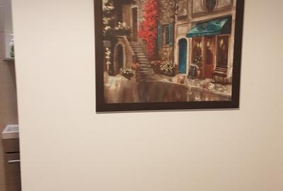 Două garsoniere B-dul N.  Balcescu, Sibiu – investiție regim hotelier la cheie - 16