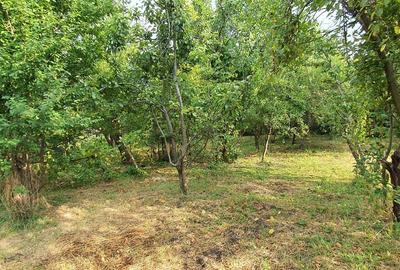 Vand teren intravilan de constructii,situat in Cisnadie,zona centrala - 1