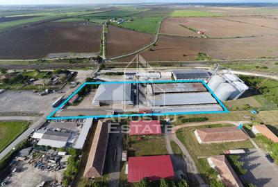 SPATIU INDUSTRIAL cu 3 hale si depozite acoperite - 6