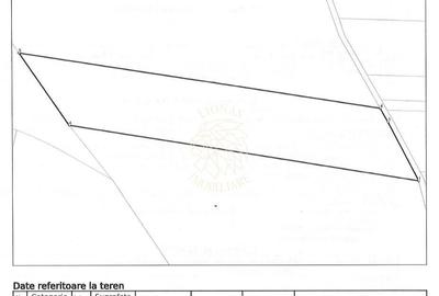 Teren agricol extravilan de 11650 mp, în Satu Nou