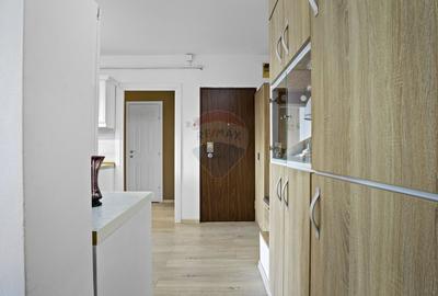 Apartament la cheie cu 2 camere decomandat de vanzare Alfa,Arad - 8