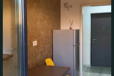 Inchiriere apartament 2 camere Zona Grozavesti - 5