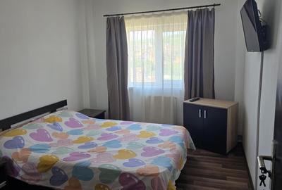 Apartament cu 3 camere de închiriat in Alba Iulia - 3