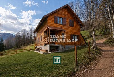 Cabana la munte în Arieseni-Ideală pentru vacanță sau investiție - 1
