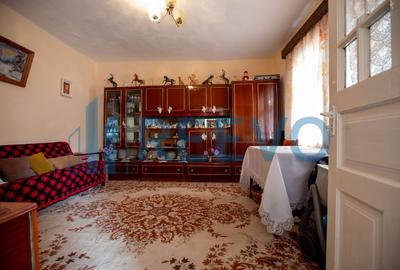 Casa si teren 3365mp Sascut - 13