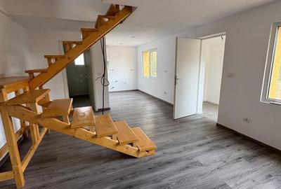 De vanzare Casa vila openspace P+M Relax naturi Mures trei insule Arad - 11
