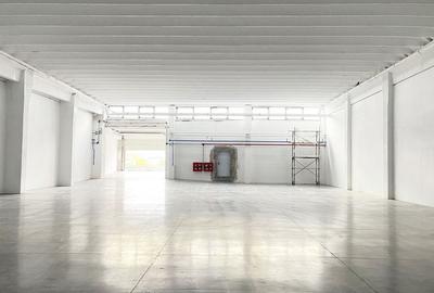 Hală de depozitare si productie - 1